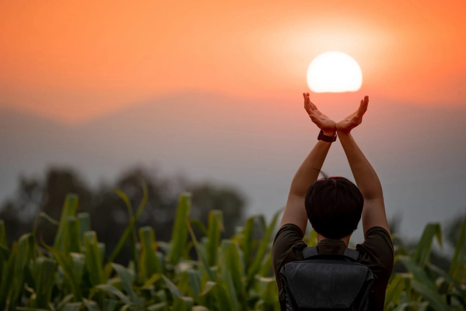 Celebrate the Solstice